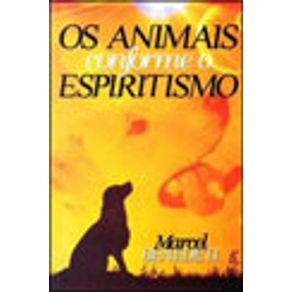 609997_vitrine.jpg 609997_vitrine.jpg