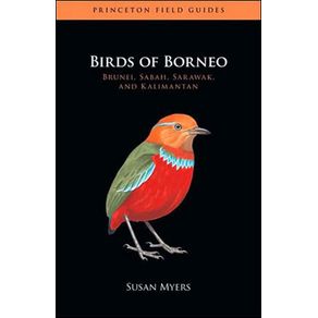 598871_ampliada.jpg 598871_ampliada.jpg