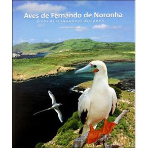 602563_ampliada.jpg 602563_ampliada.jpg