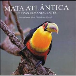 605051_ampliada.jpg 605051_ampliada.jpg