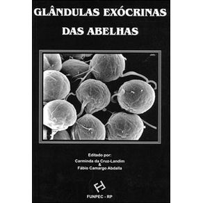 606519_ampliada.jpg 606519_ampliada.jpg