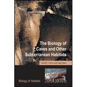 588177_detalhes.jpg 588177_detalhes.jpg