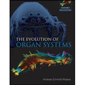 588179_detalhes.jpg 588179_detalhes.jpg