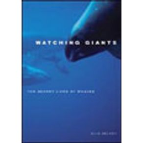 589104_vitrine.jpg 589104_vitrine.jpg