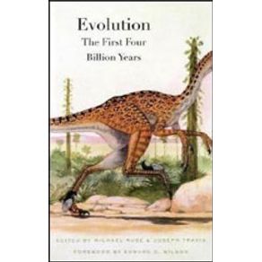 589091_detalhes.jpg 589091_detalhes.jpg