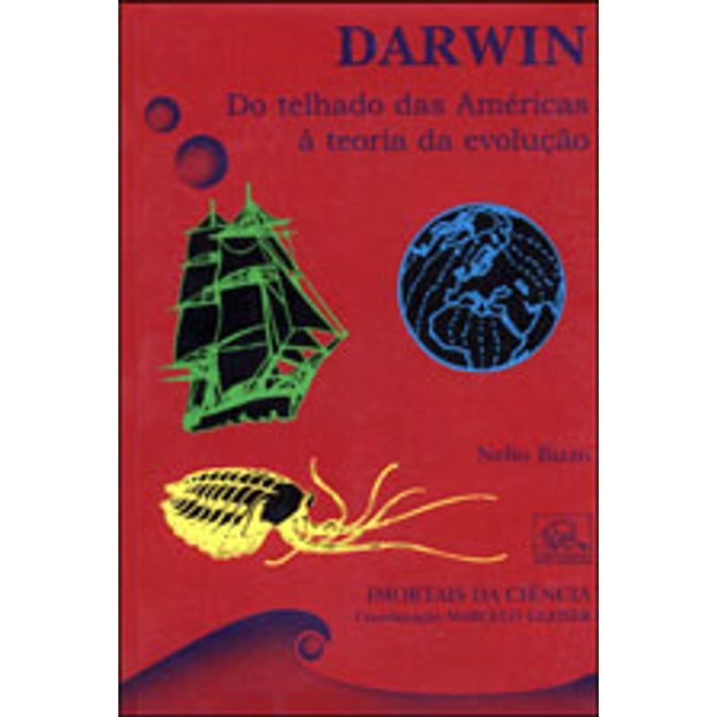 589329_detalhes.jpg