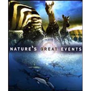 591808_detalhes.jpg 591808_detalhes.jpg