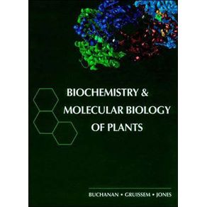 591755_ampliada.jpg 591755_ampliada.jpg