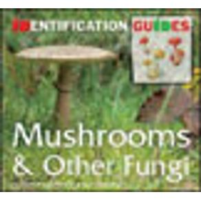 594383_vitrine.jpg 594383_vitrine.jpg