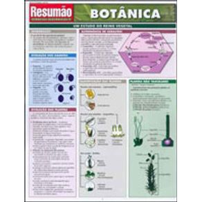 594795_detalhes.jpg 594795_detalhes.jpg