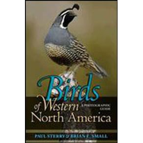 581122_detalhes.jpg 581122_detalhes.jpg