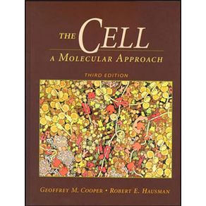 582938_ampliada.jpg 582938_ampliada.jpg