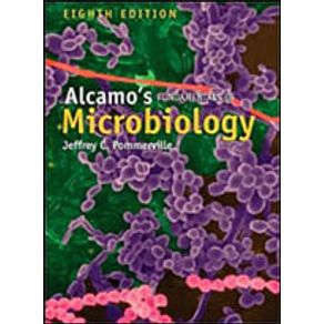 583363_detalhes.jpg 583363_detalhes.jpg