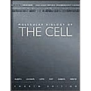 583758_detalhes.jpg 583758_detalhes.jpg