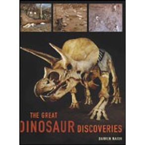 587773_detalhes.jpg 587773_detalhes.jpg