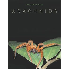 587775_ampliada.jpg 587775_ampliada.jpg