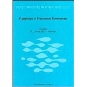 577379_detalhes.jpg 577379_detalhes.jpg