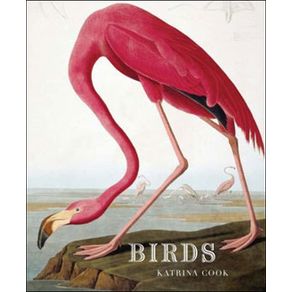 558501_ampliada.jpg 558501_ampliada.jpg