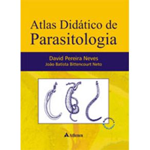 560506_detalhes.jpg 560506_detalhes.jpg