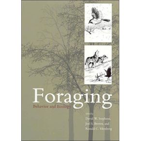 561802_ampliada.jpg 561802_ampliada.jpg