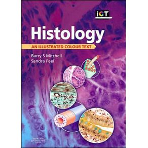 566157_ampliada.jpg 566157_ampliada.jpg