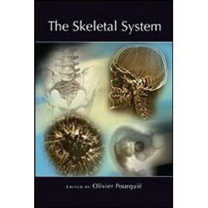 566475_detalhes.jpg 566475_detalhes.jpg