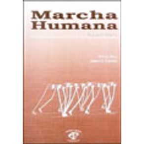 566989_vitrine.jpg 566989_vitrine.jpg