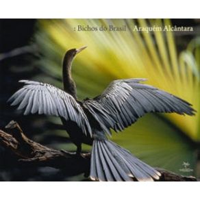 548398_ampliada.jpg 548398_ampliada.jpg