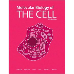 548761_ampliada.jpg 548761_ampliada.jpg