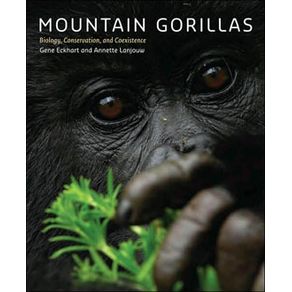 548882_ampliada.jpg 548882_ampliada.jpg