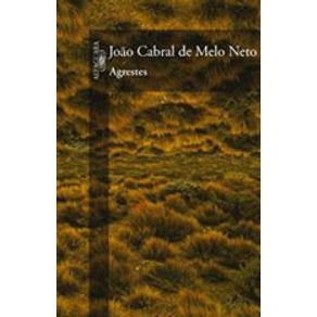 551661_detalhes.jpg 551661_detalhes.jpg