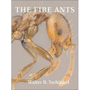 555354_ampliada.jpg 555354_ampliada.jpg