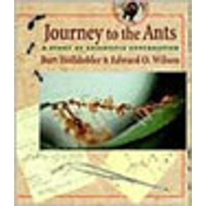 555347_vitrine.jpg 555347_vitrine.jpg