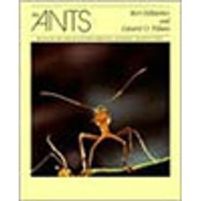 555348_vitrine.jpg 555348_vitrine.jpg