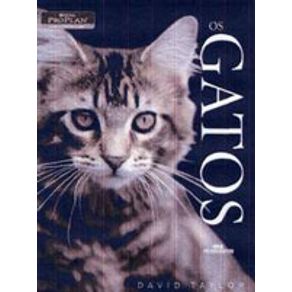 556077_detalhes.jpg 556077_detalhes.jpg