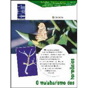 540969_detalhes.jpg 540969_detalhes.jpg