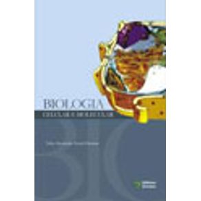 541547_vitrine.jpg 541547_vitrine.jpg