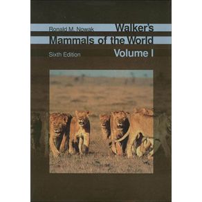 544131_ampliada.jpg 544131_ampliada.jpg