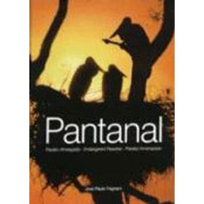 546808_detalhes.jpg 546808_detalhes.jpg