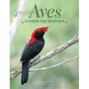 528187_detalhes.jpg 528187_detalhes.jpg