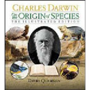 529814_detalhes.jpg 529814_detalhes.jpg