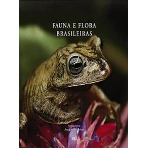 530522_ampliada.jpg 530522_ampliada.jpg