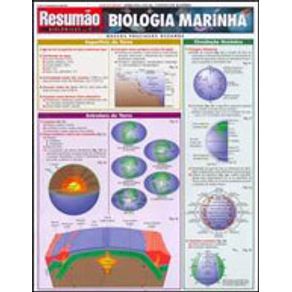 530837_detalhes.jpg 530837_detalhes.jpg