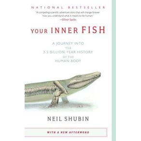 531585_ampliada.jpg 531585_ampliada.jpg