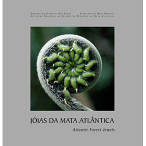 533465_ampliada.jpg 533465_ampliada.jpg