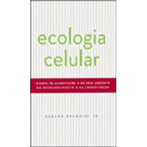 533780_vitrine.jpg 533780_vitrine.jpg