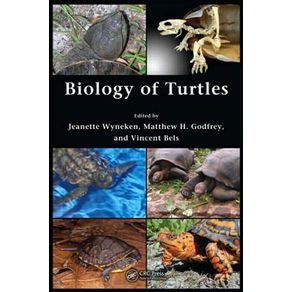 534868_ampliada.jpg 534868_ampliada.jpg