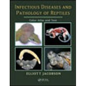 534872_vitrine.jpg 534872_vitrine.jpg