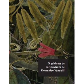 535753_ampliada.jpg 535753_ampliada.jpg