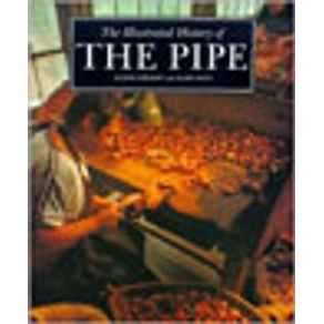 537451_vitrine.jpg 537451_vitrine.jpg